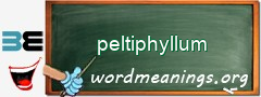 WordMeaning blackboard for peltiphyllum